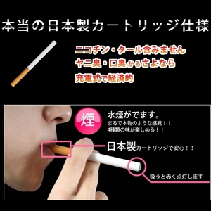 安心のPSEマーク取得済み　日本製カートリッジ　ライズスモーカー　本体＋カートリッジセット